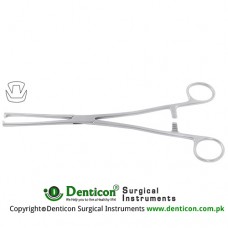 Museux Tenaculum Forcep 2 x2 Teeth Stainless Steel, 24 cm - 9 1/2" Jaw Size 10 mm 